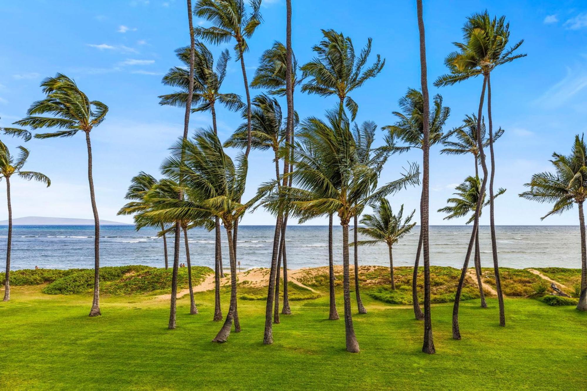Апартаменты Hale Kai O'Kihei 317 Экстерьер фото